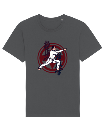 Kyokushin Karate  Anthracite