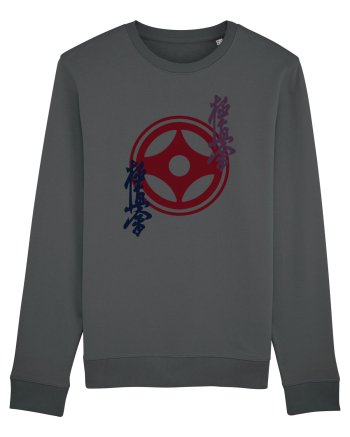 Kyokushin Karate  Anthracite