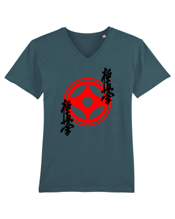 Kyokushin Karate  Stargazer