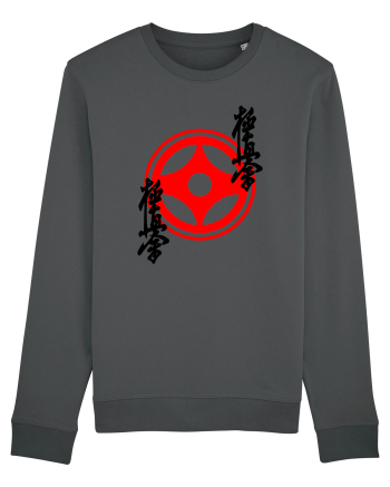 Kyokushin Karate  Anthracite