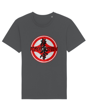 Kyokushin Karate  Anthracite