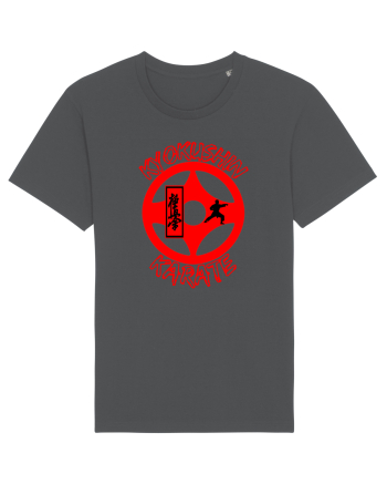 Kyokushin Karate  Anthracite