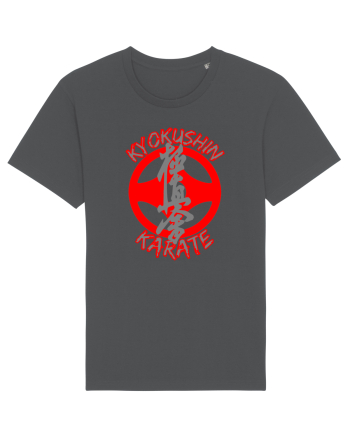 Kyokushin Karate  Anthracite