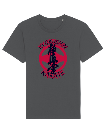 Kyokushin Karate  Anthracite
