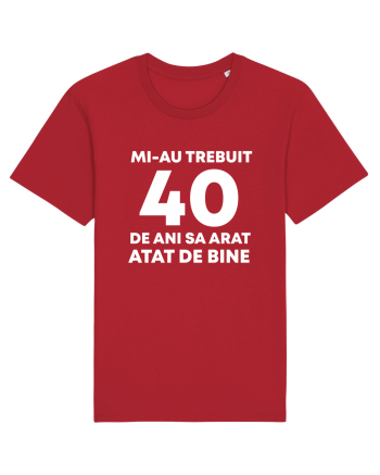 40 DE ANI Red