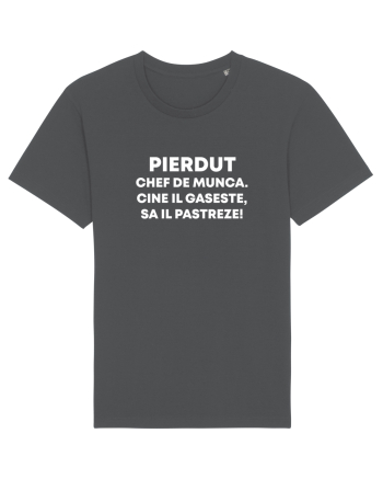 PIERDUT CHEF DE MUNCA Anthracite