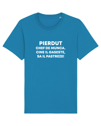 PIERDUT CHEF DE MUNCA Azur
