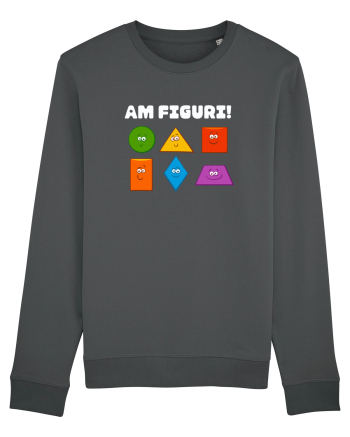 AM FIGURI Anthracite