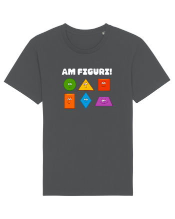 AM FIGURI Anthracite