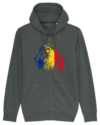 LEUL ROMANESC Anthracite