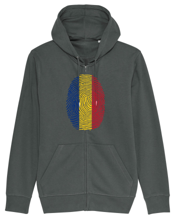 AMPRENTA TRICOLOR Anthracite