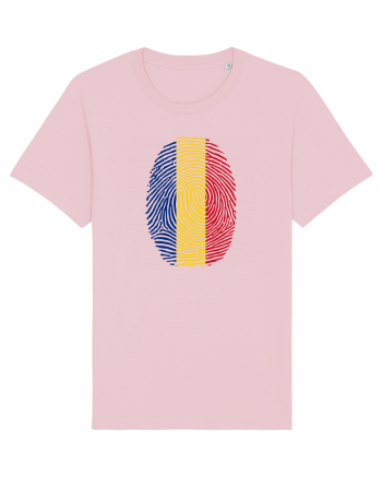 AMPRENTA TRICOLOR Cotton Pink