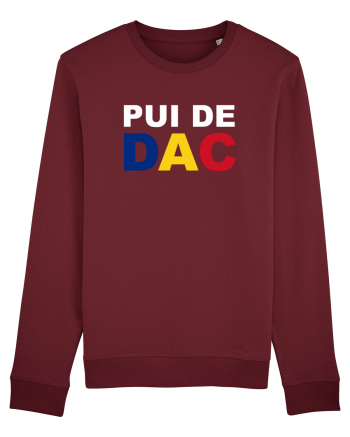 PUI DE DAC Burgundy