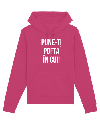 PUNE POFTA IN CUI Raspberry