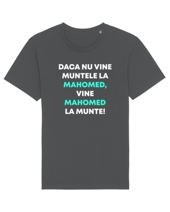 MUNTELE LA MAHOMED Anthracite