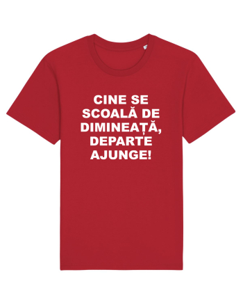 DIMINEATA Red