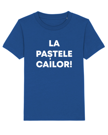 LA PASTELE CAILOR Majorelle Blue