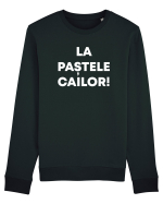 LA PASTELE CAILOR Bluză mânecă lungă Unisex Rise