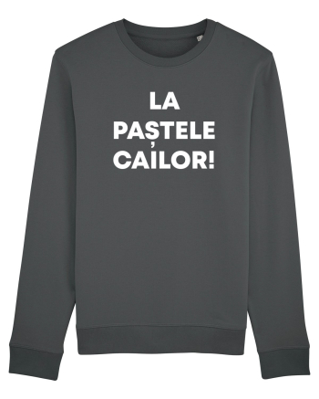 LA PASTELE CAILOR Anthracite
