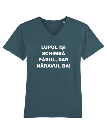 LUP Stargazer