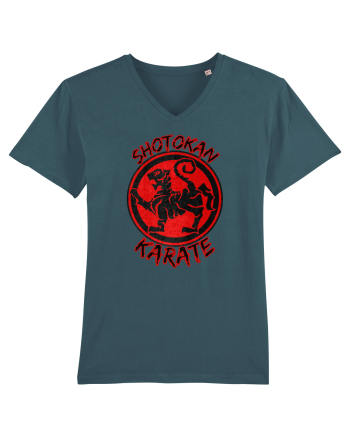 Shotokan Karate Stargazer