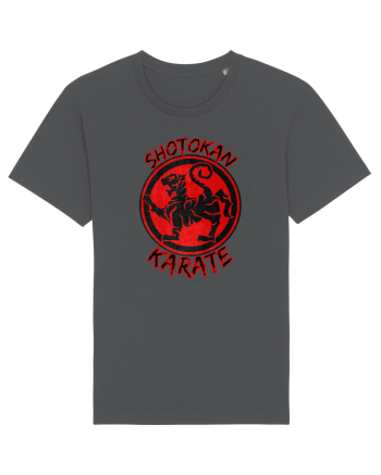 Shotokan Karate Anthracite