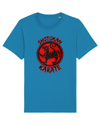 Shotokan Karate Azur