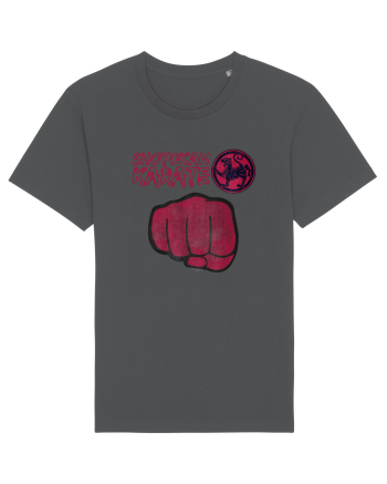 Shotokan Karate Anthracite