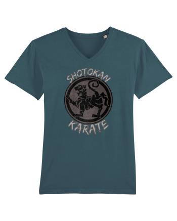 Shotokan Karate Stargazer