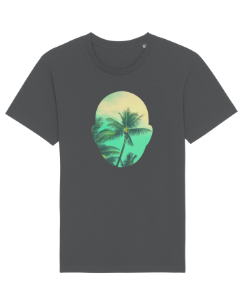 Summer In My Mind Anthracite