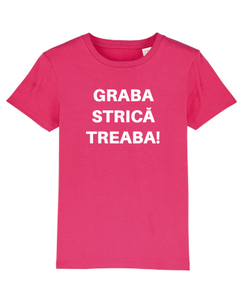 GRABA STRICA TREABA Raspberry