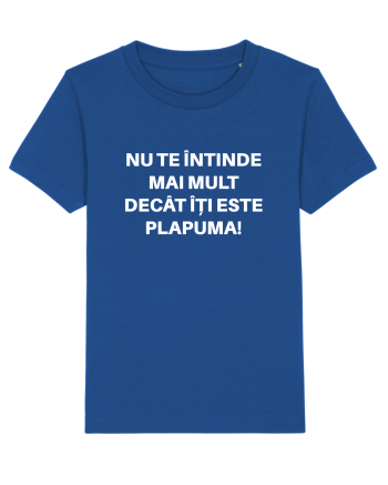 PROVERB Majorelle Blue
