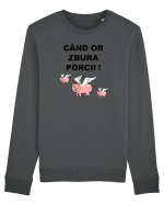 CAND OR ZBURA PORCII Bluză mânecă lungă Unisex Rise