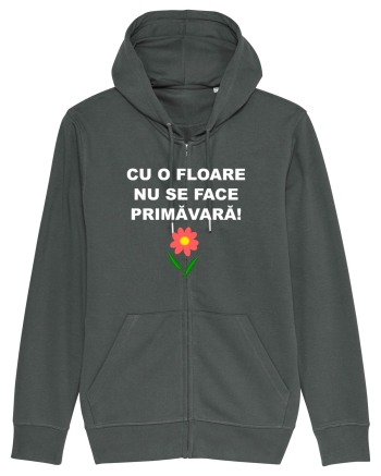 PROVERB Anthracite