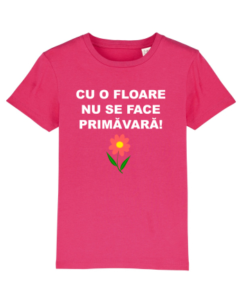 PROVERB Raspberry