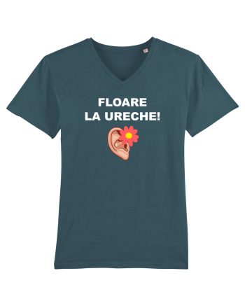 FLOARE LA URECHE Stargazer
