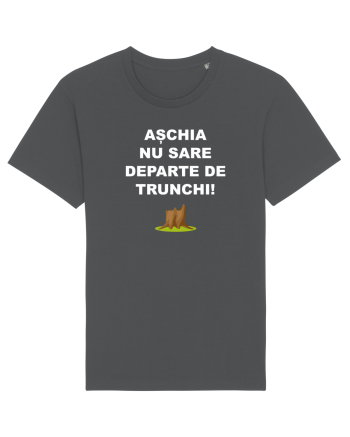ASCHIA NU SARE DEPARTE Anthracite