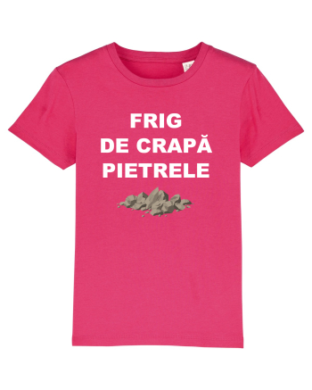 FRIG DE CRAPA PIETRELE Raspberry