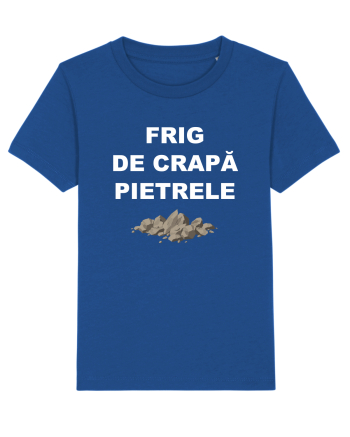 FRIG DE CRAPA PIETRELE Majorelle Blue