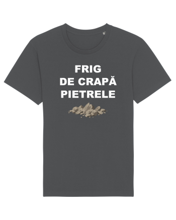 FRIG DE CRAPA PIETRELE Anthracite