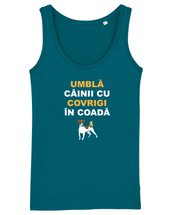 UMBLA CAINII CU COVRIGI IN COADA Ocean Depth