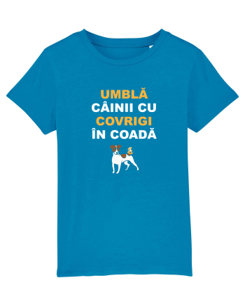 UMBLA CAINII CU COVRIGI IN COADA Azur