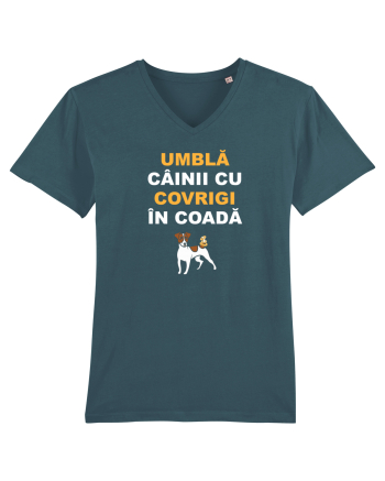 UMBLA CAINII CU COVRIGI IN COADA Stargazer