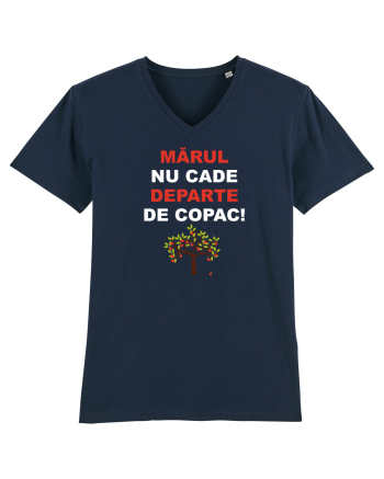 MARUL NU CADE DEPARTE DE COPAC French Navy