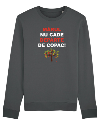 MARUL NU CADE DEPARTE DE COPAC Anthracite