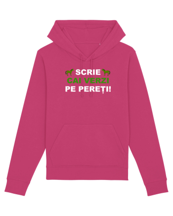 SCRIE CAI VERZI PE PERETI Raspberry