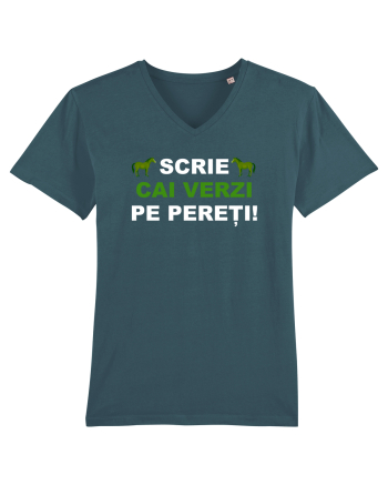 SCRIE CAI VERZI PE PERETI Stargazer