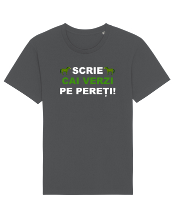 SCRIE CAI VERZI PE PERETI Anthracite
