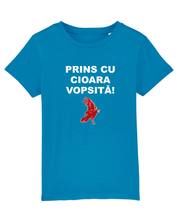 PRINS CU CIOARA VOPSITA Azur