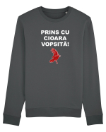 PRINS CU CIOARA VOPSITA Bluză mânecă lungă Unisex Rise